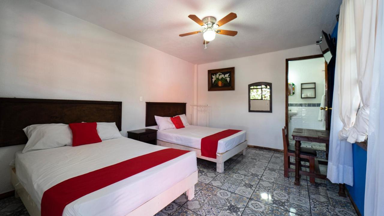 Hotel Posada Bugambilias Σαν Λουίς Ποτοσί Εξωτερικό φωτογραφία