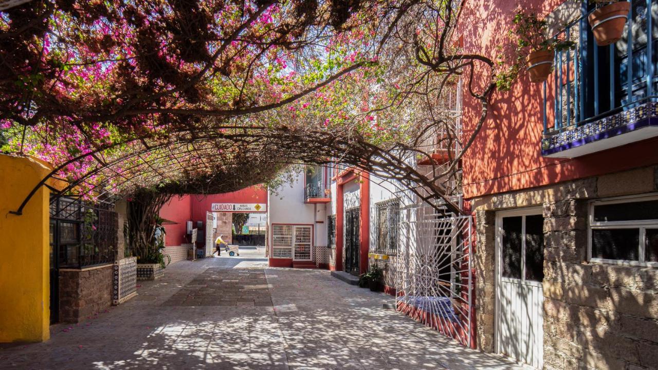 Hotel Posada Bugambilias Σαν Λουίς Ποτοσί Εξωτερικό φωτογραφία
