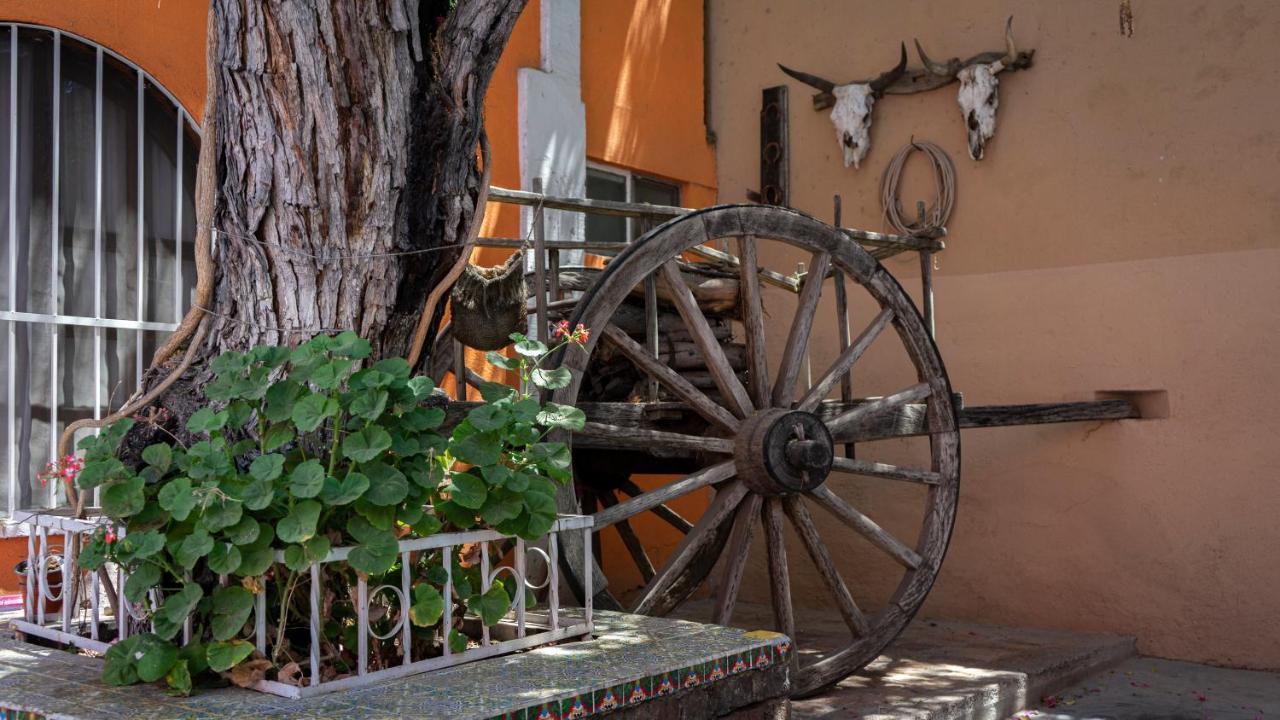 Hotel Posada Bugambilias Σαν Λουίς Ποτοσί Εξωτερικό φωτογραφία