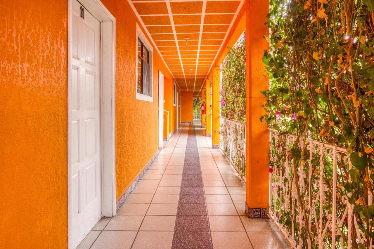 Hotel Posada Bugambilias Σαν Λουίς Ποτοσί Εξωτερικό φωτογραφία